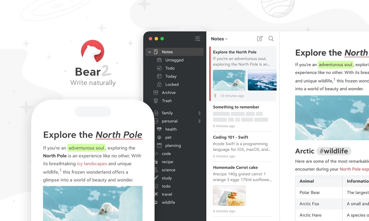Bear product preview