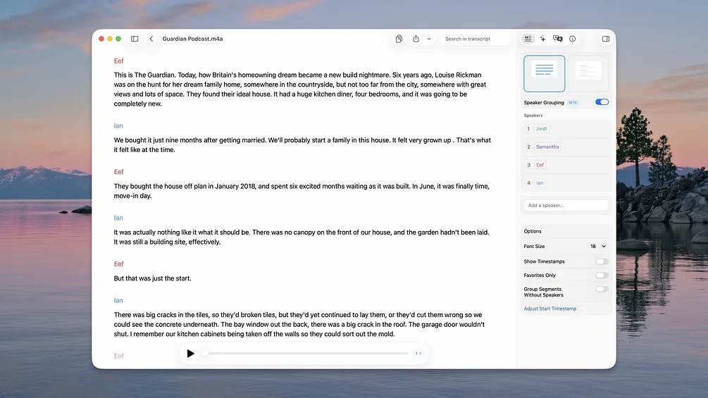 MacWhisper product preview